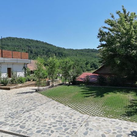 Szigligeti Mandula Kert Vendégház Exterior foto